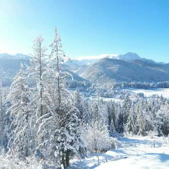 Pokoje Goscinne Anna Bobak Zakopane Exteriör bild